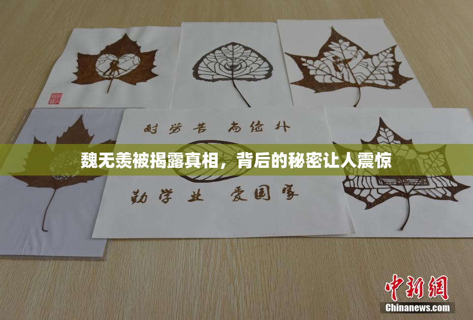 魏无羡被揭露真相，背后的秘密让人震惊