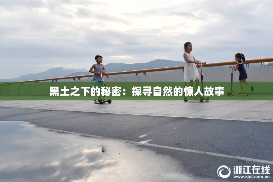 黑土之下的秘密：探寻自然的惊人故事