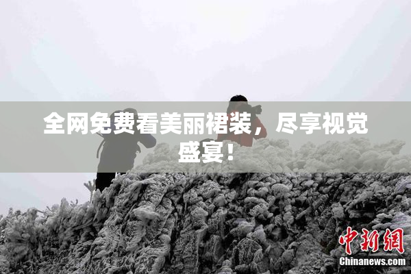 全网免费看美丽裙装，尽享视觉盛宴！