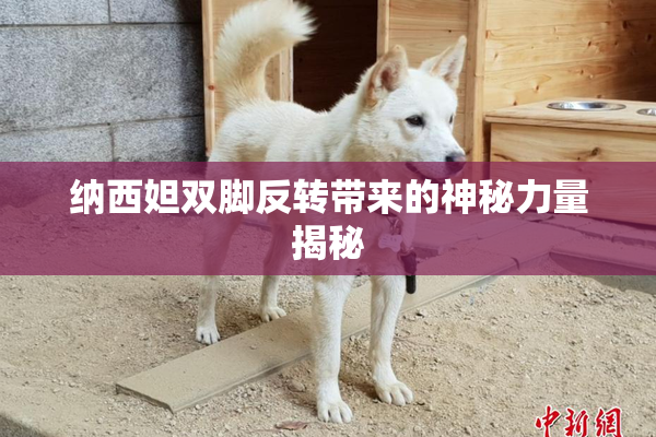 纳西妲双脚反转带来的神秘力量揭秘