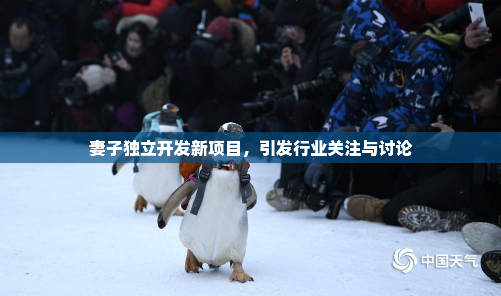 妻子独立开发新项目，引发行业关注与讨论