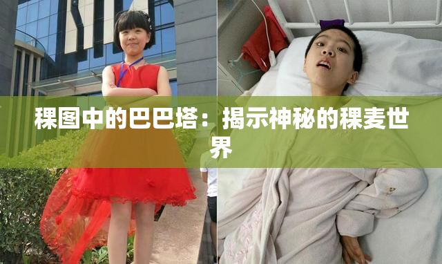 稞图中的巴巴塔：揭示神秘的稞麦世界