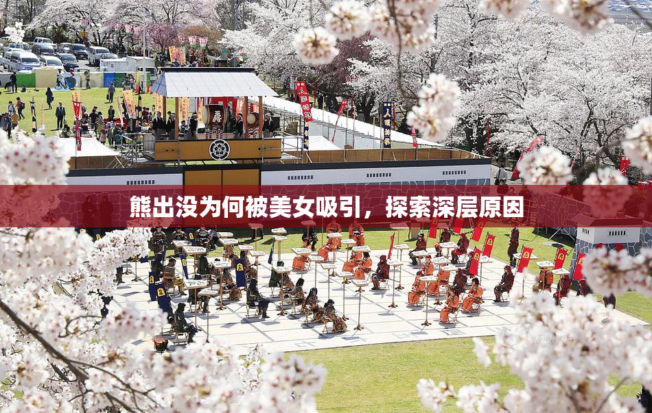 熊出没为何被美女吸引，探索深层原因
