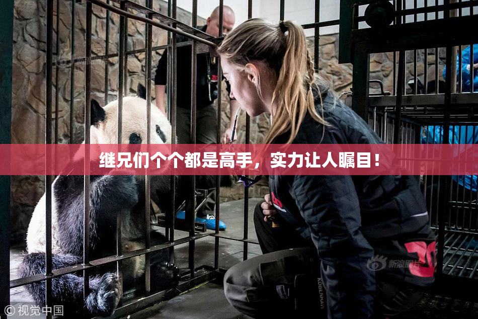 继兄们个个都是高手，实力让人瞩目！