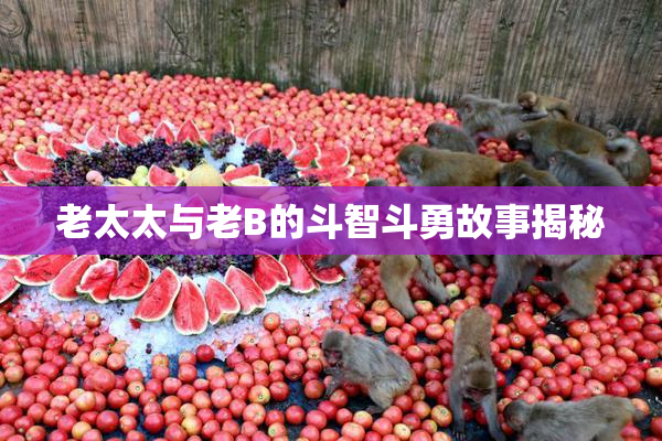 老太太与老B的斗智斗勇故事揭秘