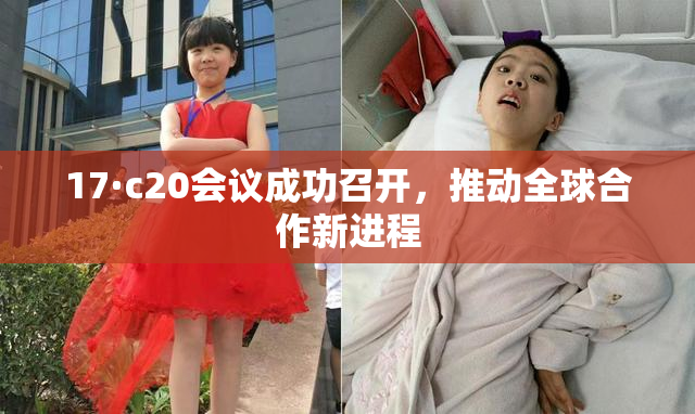 17·c20会议成功召开，推动全球合作新进程
