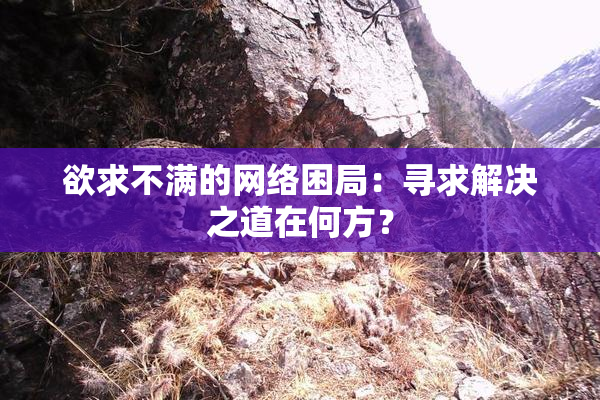 欲求不满的网络困局：寻求解决之道在何方？