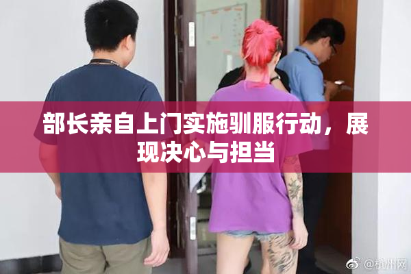 部长亲自上门实施驯服行动，展现决心与担当