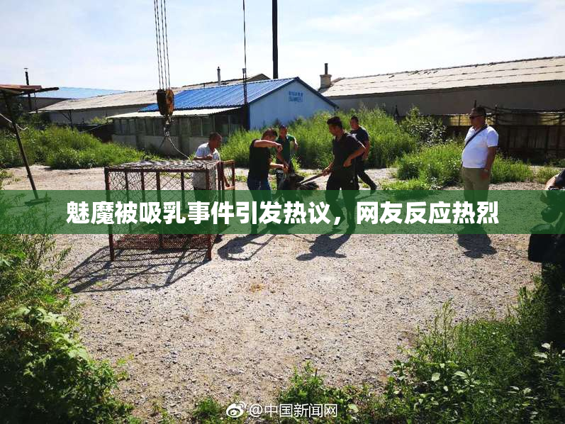 魅魔被吸乳事件引发热议，网友反应热烈