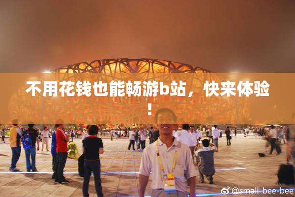 不用花钱也能畅游b站，快来体验！