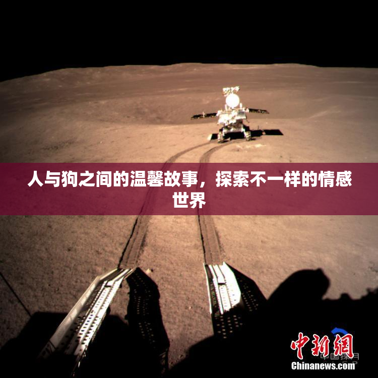 人与狗之间的温馨故事，探索不一样的情感世界