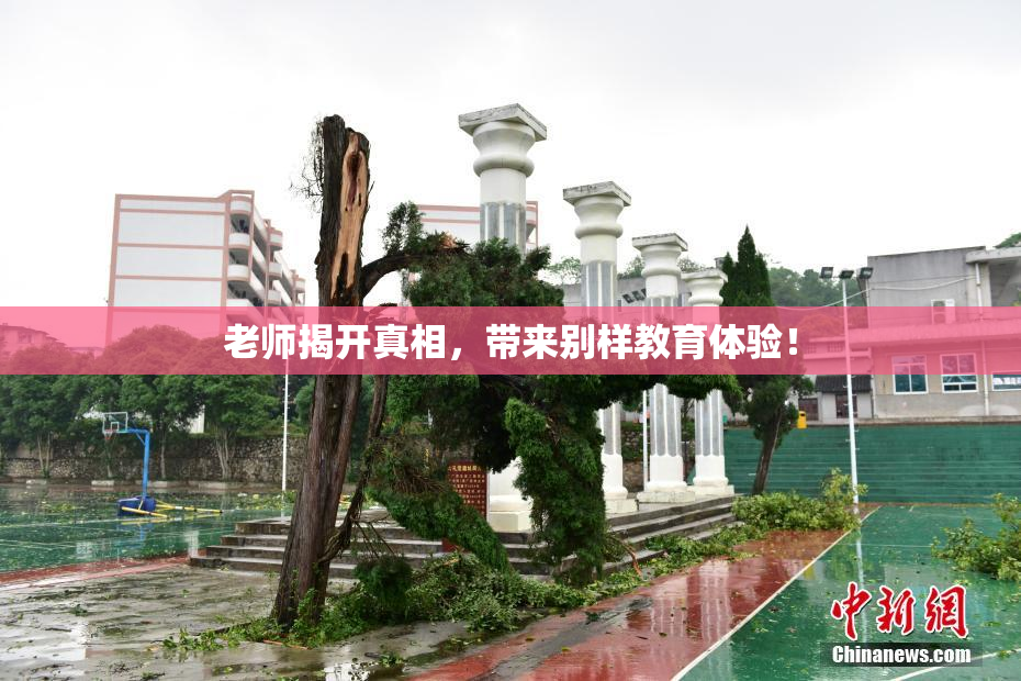 老师揭开真相，带来别样教育体验！