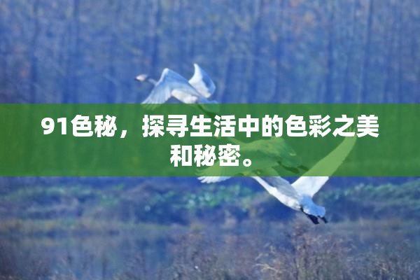 91色秘，探寻生活中的色彩之美和秘密。