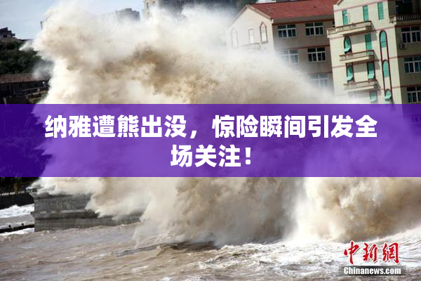 纳雅遭熊出没，惊险瞬间引发全场关注！