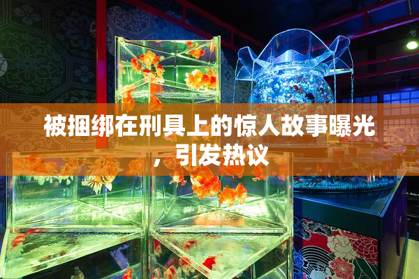 被捆绑在刑具上的惊人故事曝光，引发热议