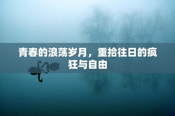 青春的浪荡岁月，重拾往日的疯狂与自由