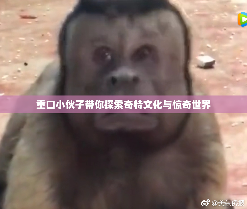 重口小伙子带你探索奇特文化与惊奇世界