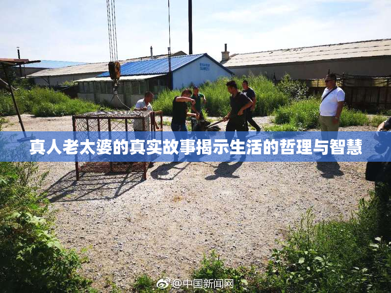 真人老太婆的真实故事揭示生活的哲理与智慧