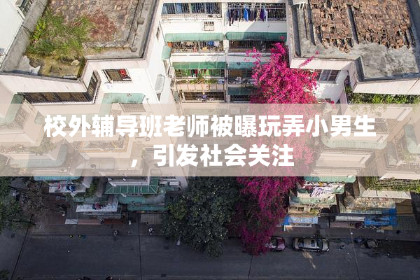 校外辅导班老师被曝玩弄小男生，引发社会关注