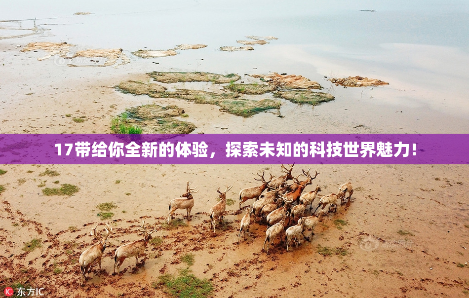 17带给你全新的体验，探索未知的科技世界魅力！