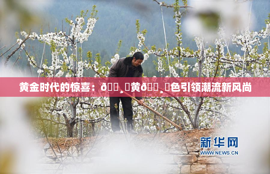 黄金时代的惊喜：🌸‌黄🌸‌色引领潮流新风尚