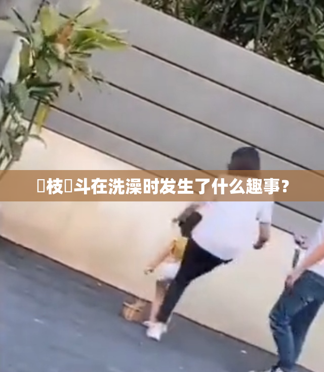 狛枝凪斗在洗澡时发生了什么趣事？