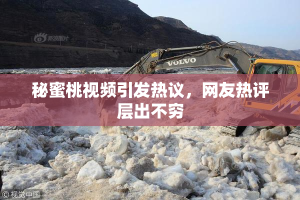 秘蜜桃视频引发热议，网友热评层出不穷