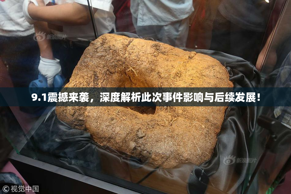9.1震撼来袭，深度解析此次事件影响与后续发展！