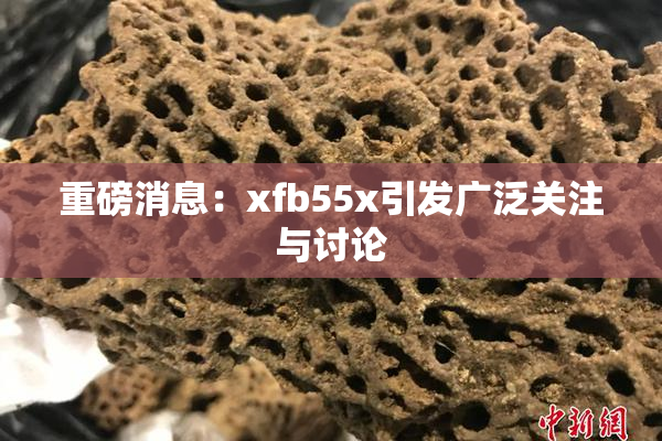 重磅消息：xfb55x引发广泛关注与讨论