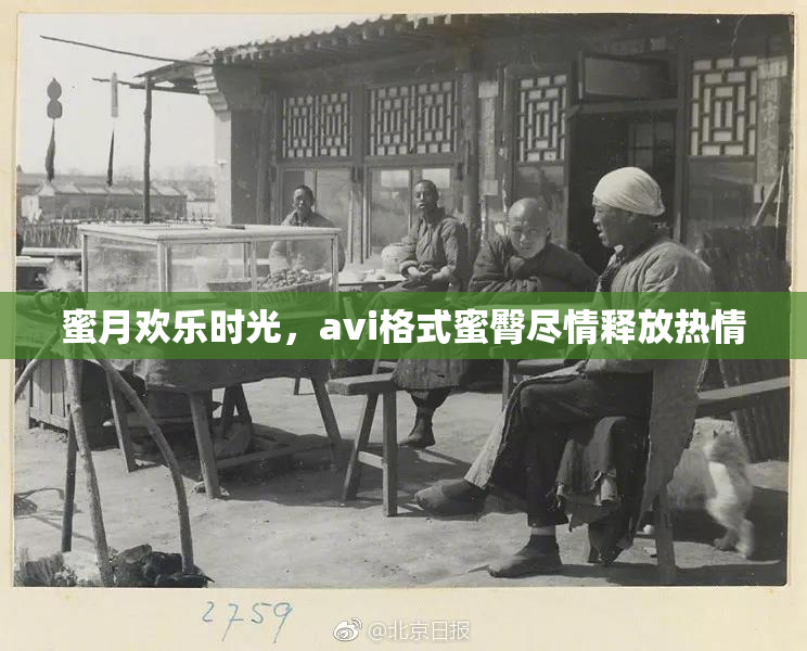 蜜月欢乐时光，avi格式蜜臀尽情释放热情