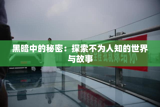 黑暗中的秘密：探索不为人知的世界与故事