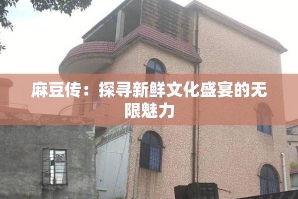 麻豆传：探寻新鲜文化盛宴的无限魅力