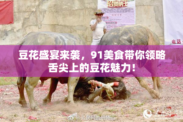 豆花盛宴来袭，91美食带你领略舌尖上的豆花魅力！