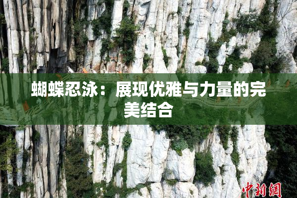 蝴蝶忍泳：展现优雅与力量的完美结合