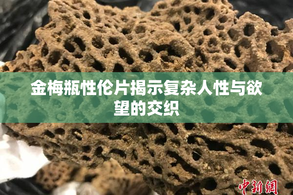 金梅瓶性伦片揭示复杂人性与欲望的交织
