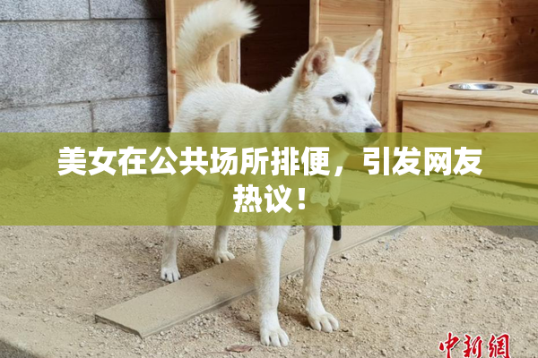 美女在公共场所排便，引发网友热议！