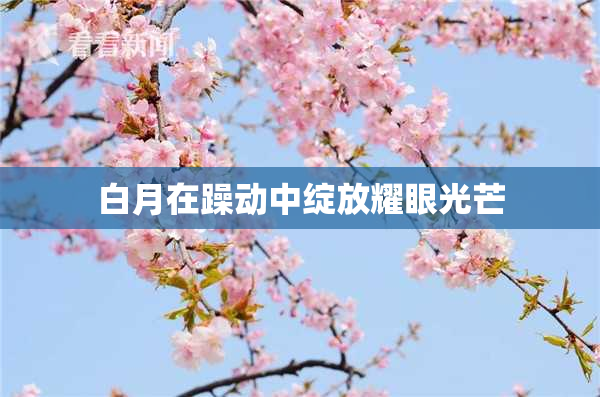 白月在躁动中绽放耀眼光芒
