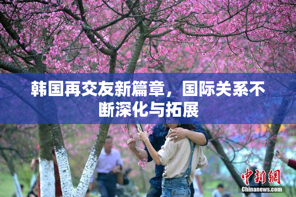 韩国再交友新篇章，国际关系不断深化与拓展