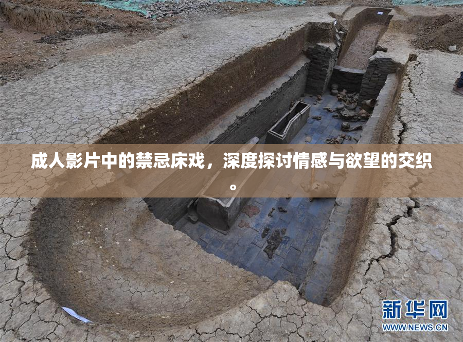 成人影片中的禁忌床戏，深度探讨情感与欲望的交织。