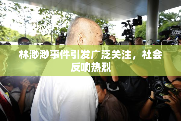 林渺渺事件引发广泛关注，社会反响热烈