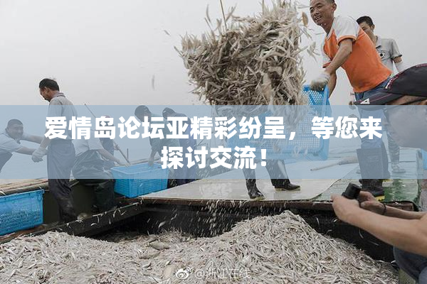 爱情岛论坛亚精彩纷呈，等您来探讨交流！