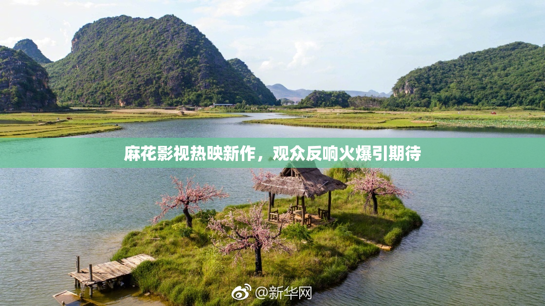麻花影视热映新作，观众反响火爆引期待