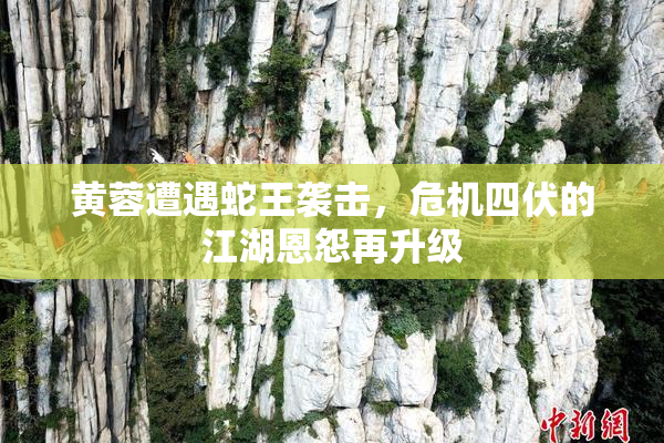 黄蓉遭遇蛇王袭击，危机四伏的江湖恩怨再升级