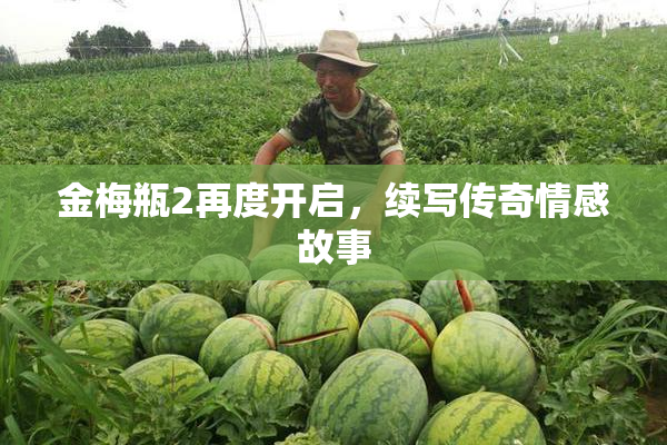 金梅瓶2再度开启，续写传奇情感故事