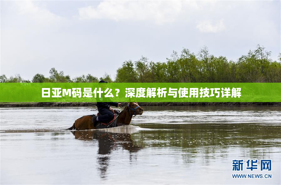 日亚M码是什么？深度解析与使用技巧详解