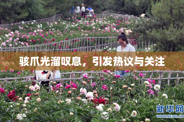 骇爪光溜叹息，引发热议与关注