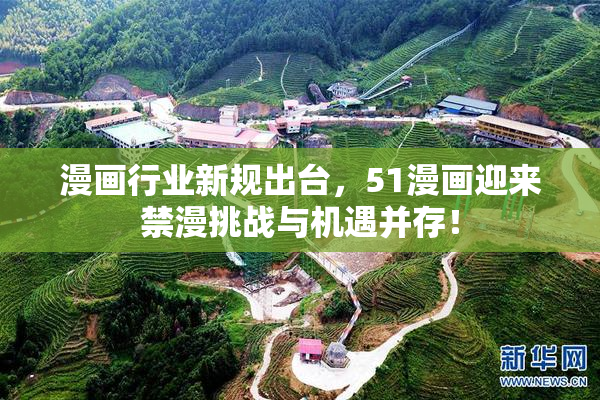 漫画行业新规出台，51漫画迎来禁漫挑战与机遇并存！