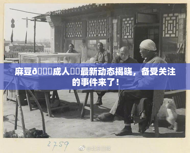 麻豆🔞成人❌‌最新动态揭晓，备受关注的事件来了！
