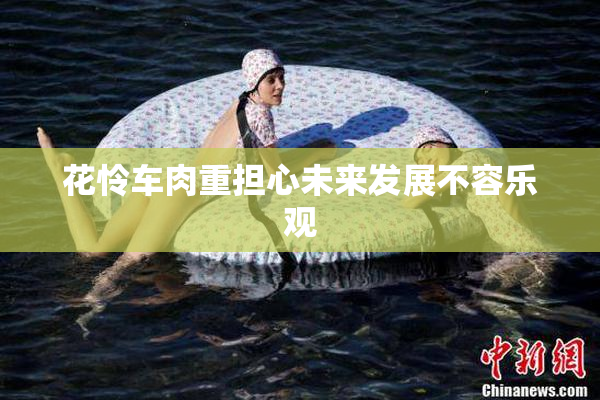 花怜车肉重担心未来发展不容乐观