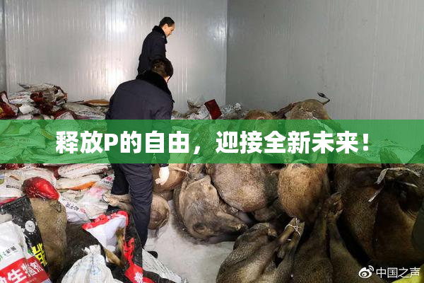 释放P的自由，迎接全新未来！